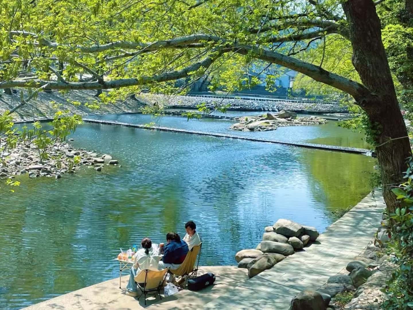 在中村的春日盛約：寧波匯展汽車科技有限公司團(tuán)建之旅?